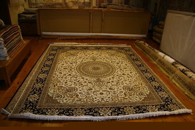 Western interior design wall art rug